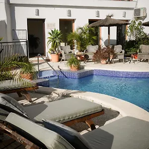 Palmeras Del Califa Vejer de la Frontera